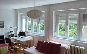 Viva Apartment