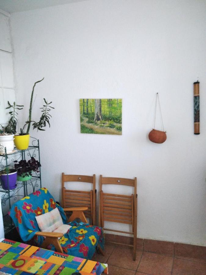 Viva Apartment Skopje Zewnętrze zdjęcie